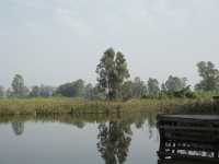 Hong Kong’s Hidden Wetlands: Our Nam Sang Wai Cycling Trip