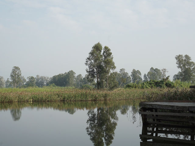 Hong Kong’s Hidden Wetlands: Our Nam Sang Wai Cycling Trip