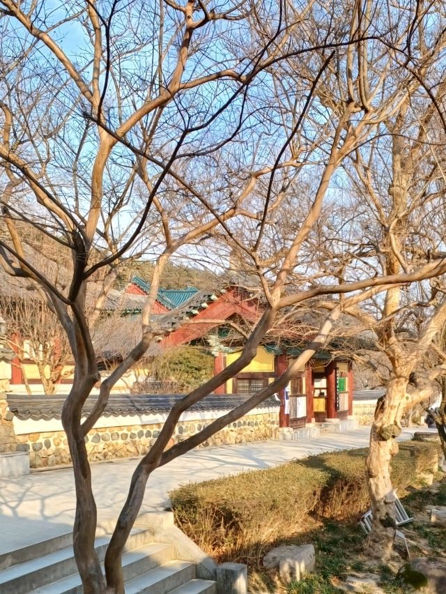 고즈넉한 자연 속, 통도사 여행✨