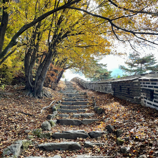 Autumn Splendor at Namhansanseong: A Walk to Remember🍁 