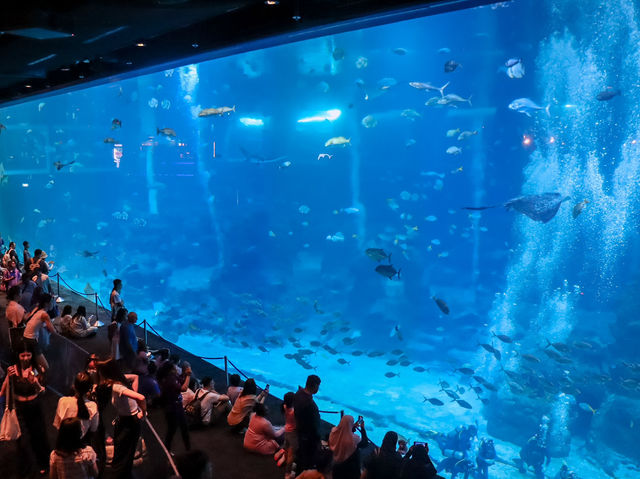  S.E.A. Aquarium 🐠🌊🇸🇬