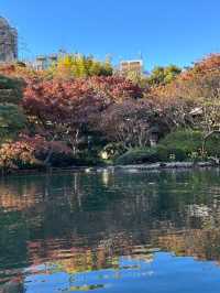 「八芳園」是一個很棒的賞楓景點