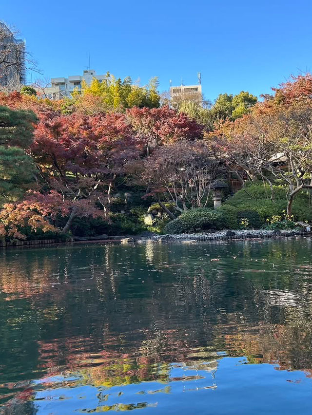 「八芳園」是一個很棒的賞楓景點
