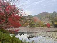 One-Hour Sojourn at Ryoan-ji Temple