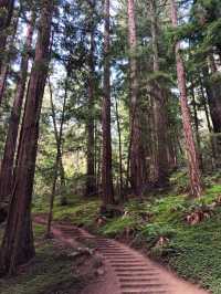 Chasing Waterfalls and Scenic Wonders – My Outdoor Adventure to Yosemite National Park 