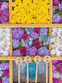 【福島】花手水×御朱印🏵️ 会津藩祖を祀る「土津神社」⛩🌸 
