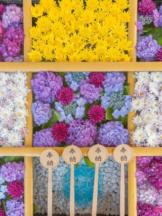 【福島】花手水×御朱印　會津藩祖供奉的「土津神社」 