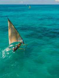 Tanzania – A Must-Visit Paradise! 🏝️🚤