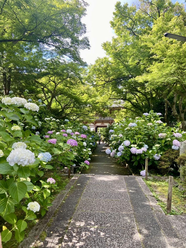 【大阪府】のどかな大阪、知ってる？？