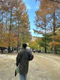 상소동 산림욕장
