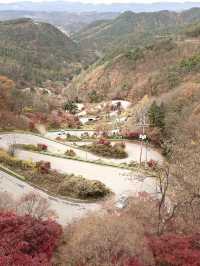 가을 단풍여행 스팟🍁
