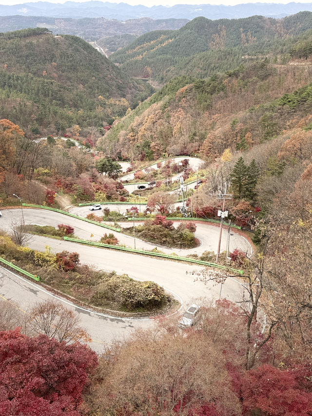 가을 단풍여행 스팟🍁