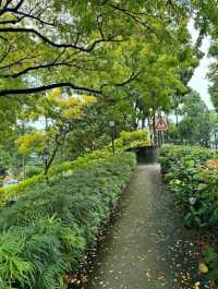 Fort Canning Tree Tunnel