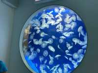 桃園 Xpark沉浸式水族館，探索奇幻海洋世界