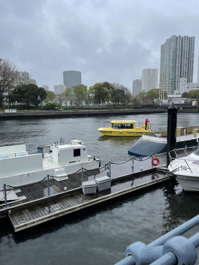 【東京】目黒川の桜を船上から眺める人気クルーズ！！