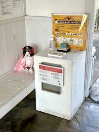 【和歌山県】駅長「よんたま」が勤務＆電車も注目！