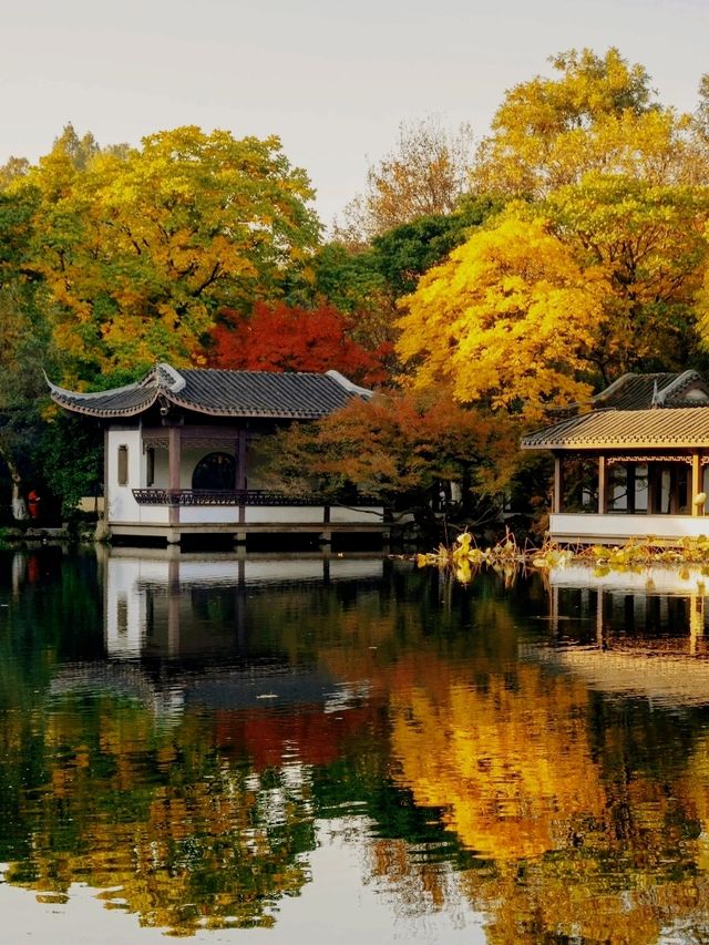 Quyuan Fenghe