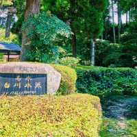 名水100選にも選ばれた透明度抜群の湧水🚰