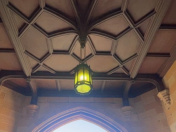Sydney에 가면 꼭 들러야 할 아름다운 캠퍼스 University of Sydn할