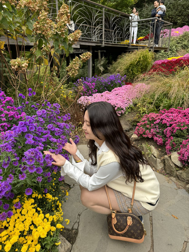 사계절이 예쁜 이곳! 