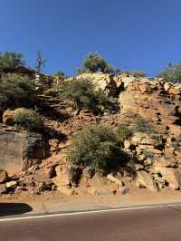 깊고 울창한 자연의 품 안에 숨겨진 보석 같은 장소 “Zion canyon”