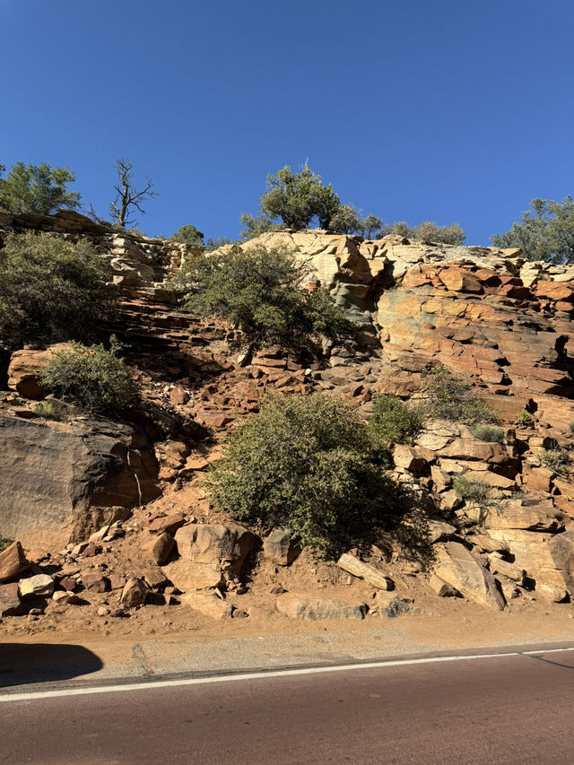 깊고 울창한 자연의 품 안에 숨겨진 보석 같은 장소 “Zion canyon”