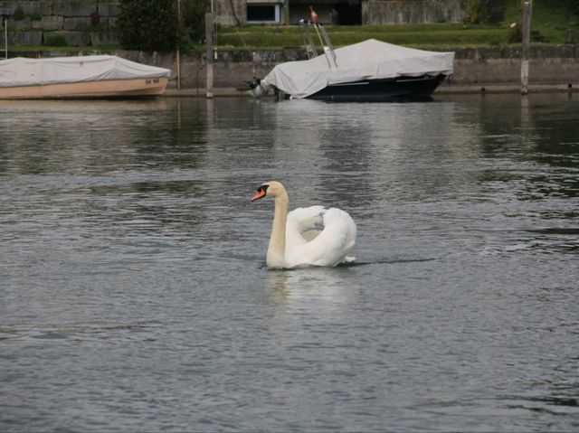 Boat Trip in Switzerland