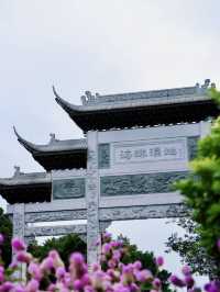 廣州閒步：從鬧市喧囂到湖光山色
