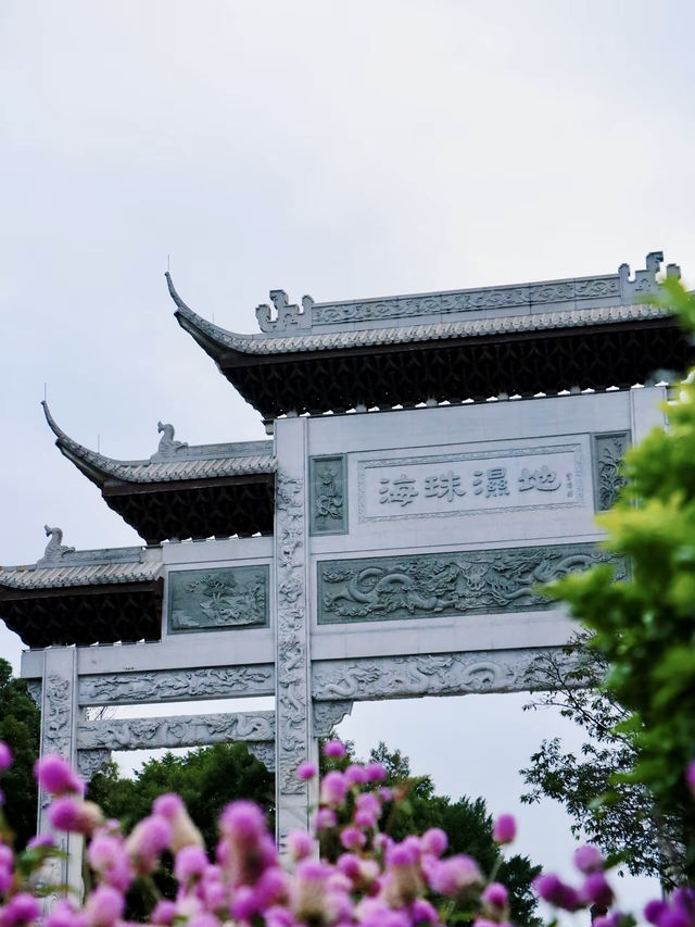 廣州閒步：從鬧市喧囂到湖光山色