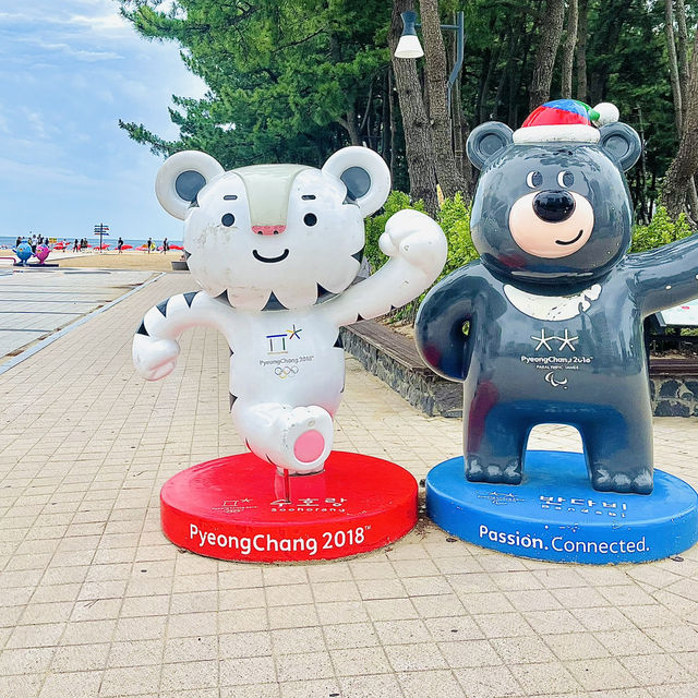 강원도 속초로 여행을 오시면 들러야 하는 <속초해수욕장> 💙