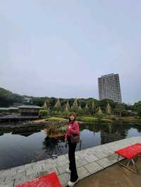 如果你熱愛日式庭園造景，相信我白鳥庭園🎋你會喜歡👍👍👍