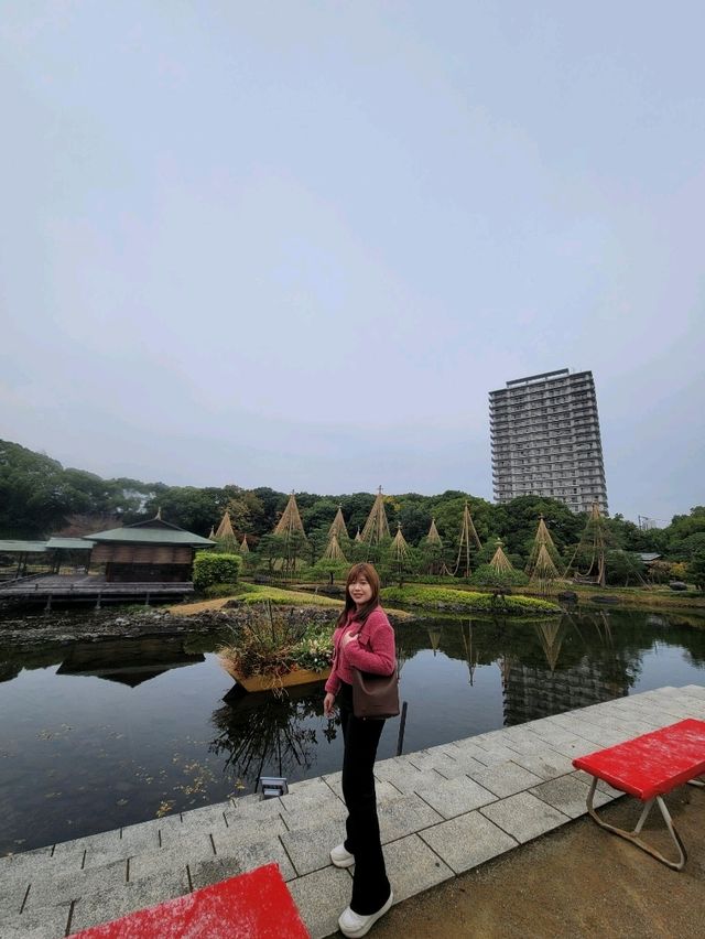 如果你熱愛日式庭園造景，相信我白鳥庭園🎋你會喜歡👍👍👍