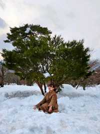 雪嶽山설악'산국립공원