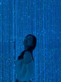 teamLab Borderless – Digital Wonderland