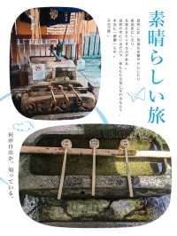 百年青苔佛像係咩料😂