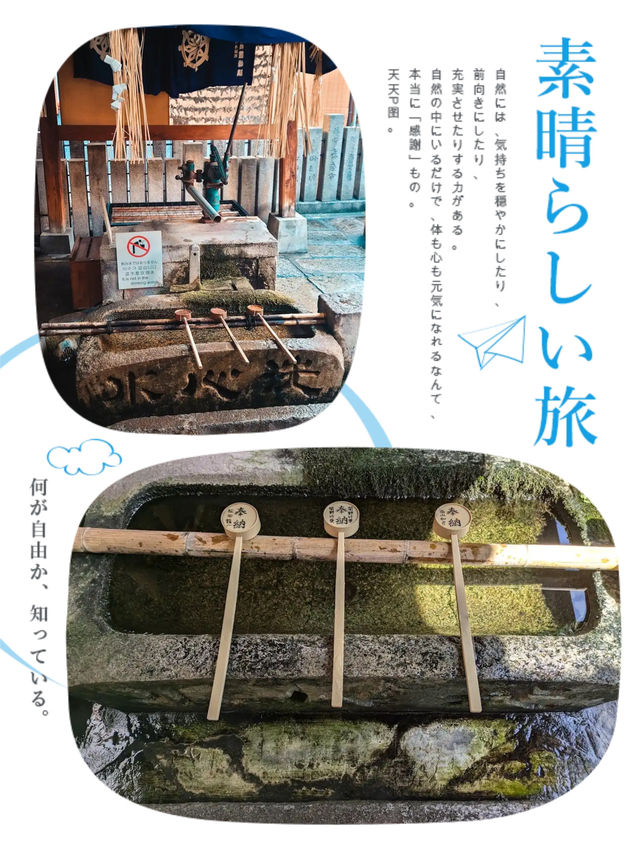百年青苔佛像係咩料😂