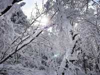 A Day Trip to Harbin Ice Park