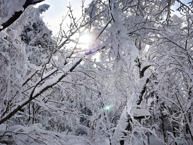 A Day Trip to Harbin Ice Park