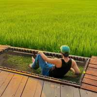 ที่พักกลางทุ่งนา #เชียงใหม่ ฟีลโคตรดี 🏠🛁🌾