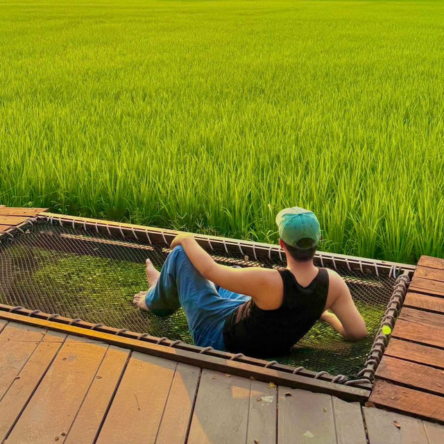 ที่พักกลางทุ่งนา #เชียงใหม่ ฟีลโคตรดี 🏠🛁🌾