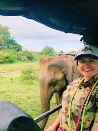 Wild safari magic in Udalawawe 
