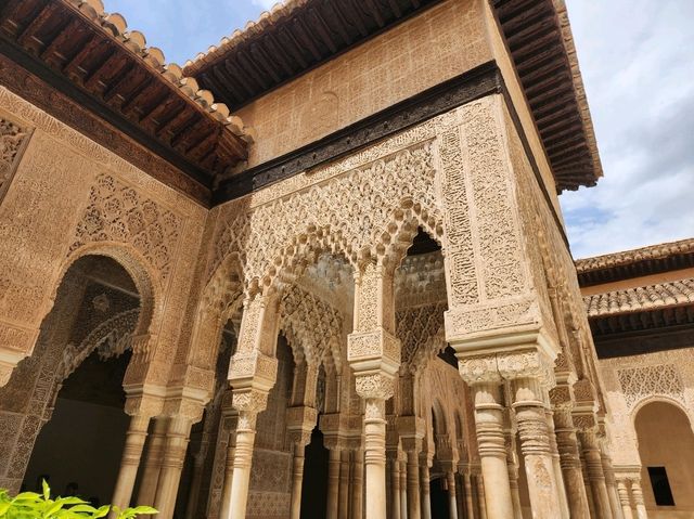 [🇪🇸グラナダ] アルハンブラ宮殿の花、ナスル宮殿の美しさ