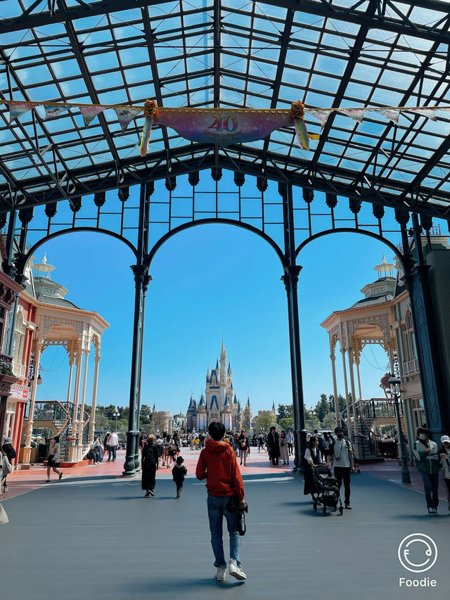 🏰夢と魔法の王国🏰