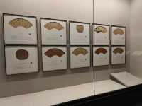 Time Travel in Changsha: Discover the Secrets of Ancient China at Hunan Museum
