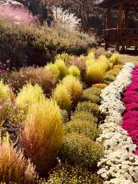 Spring's Scenic Hillside Views 