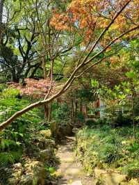 Fuxing Park: A Hidden Gem of Tranquility