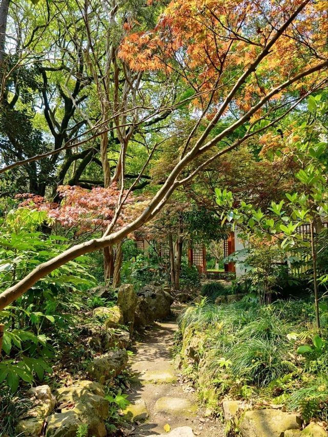 Fuxing Park: A Hidden Gem of Tranquility