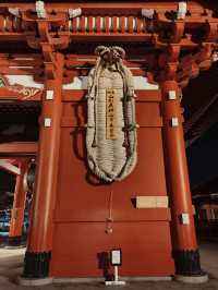 From Cherry Blossoms to Lantern Glow: Sensō-ji’s Changing Beauty