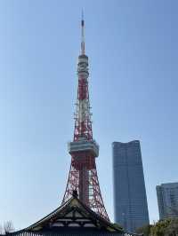 🌸【東京鐵塔櫻花｜2025粉雪紛飛下的地標絕景】  