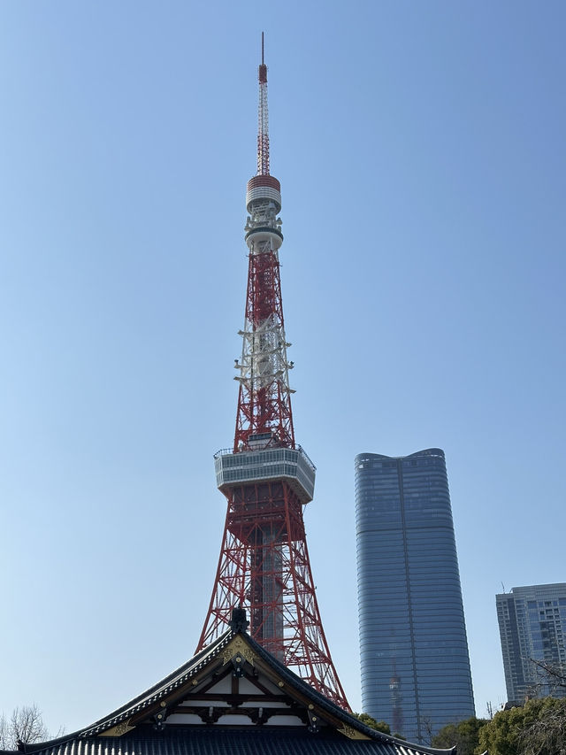 🌸【東京鐵塔櫻花｜2025粉雪紛飛下的地標絕景】  